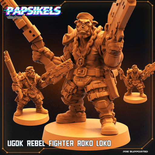 Rebel Fighter Roko Loko | Dropship Troopers III | Sci-Fi Miniature | Papsikels TabletopXtra