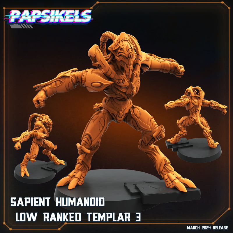 Low Rank Templar Miniatures | Aliens Vs Humans XV That Thing | Papsikels