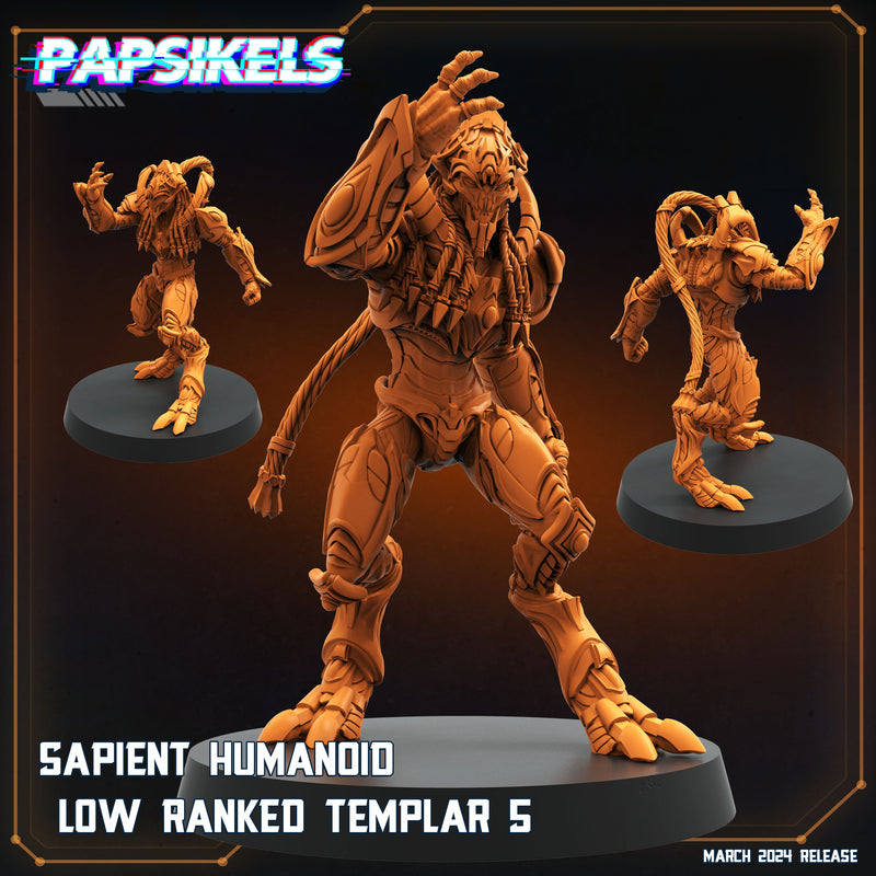 Low Rank Templar Miniatures | Aliens Vs Humans XV That Thing | Papsikels