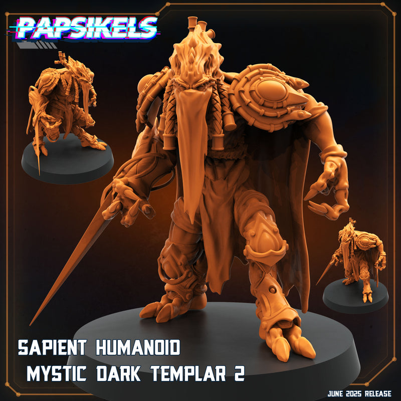 Mystic Dark Templar Miniatures | Aliens Vs Humans XVIII Dark Space | Papsikels