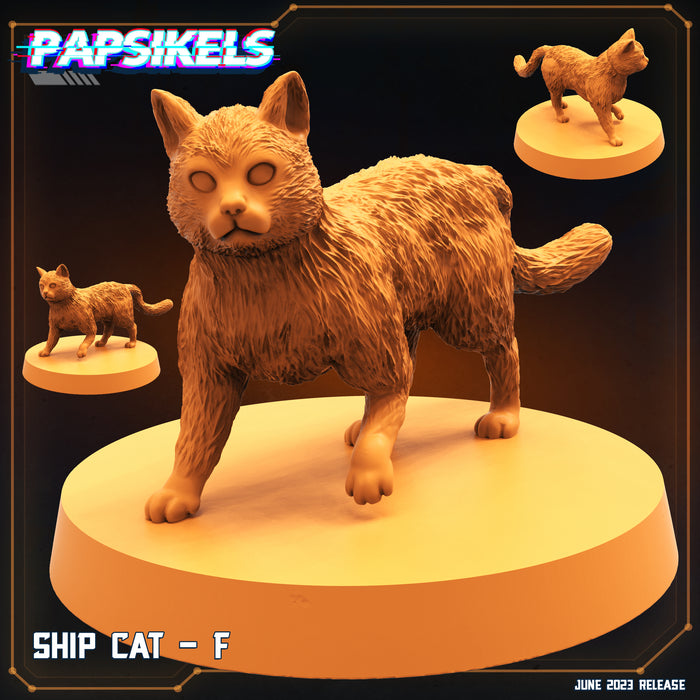 Ships Cat F | Sci-Fi Specials | Sci-Fi Miniature | Papsikels