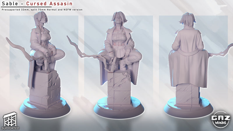 Cursed Assassin Sable | Fantasy Pin-Up | Gaz Minis | [Multi-Listing]