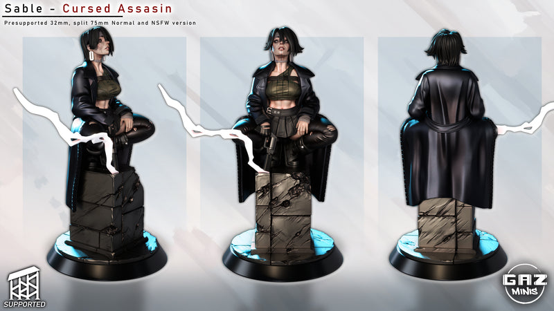 Cursed Assassin Sable | Fantasy Pin-Up | Gaz Minis | [Multi-Listing]