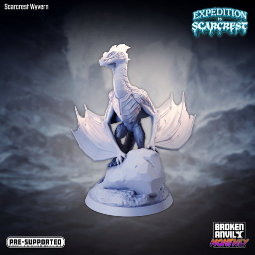 Scarcrest Wyvern B | Expedition to Scarcrest | Tabletop RPG Miniature TabletopXtra