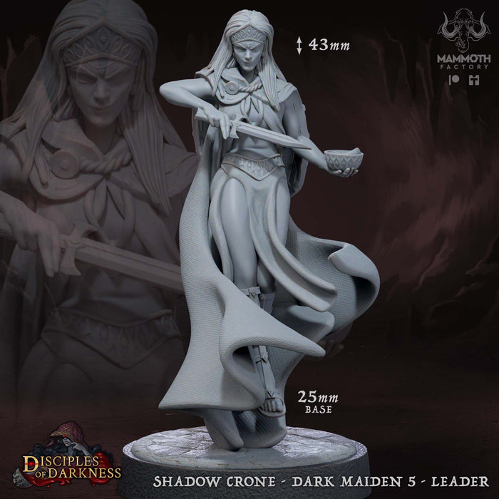 Shadow Crone | Disciples of Darkness | Fantasy Tabletop Miniature | Mammoth Factory