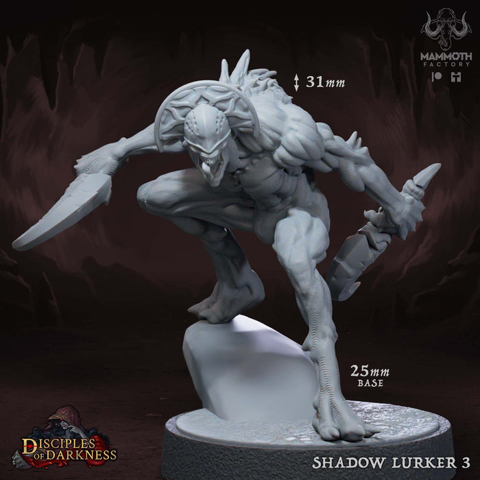 Shadow Lurker C | Disciples of Darkness | Fantasy Tabletop Miniature | Mammoth Factory