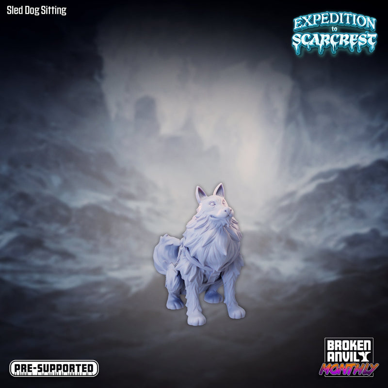 Sled Dog Sitting | Expedition to Scarcrest | Tabletop RPG Miniature TabletopXtra
