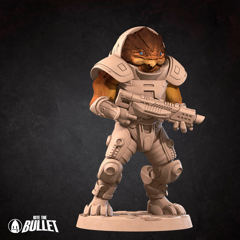 Virtual Protagonist Miniatures | Tabletop Fantasy Resin Miniatures | BTB