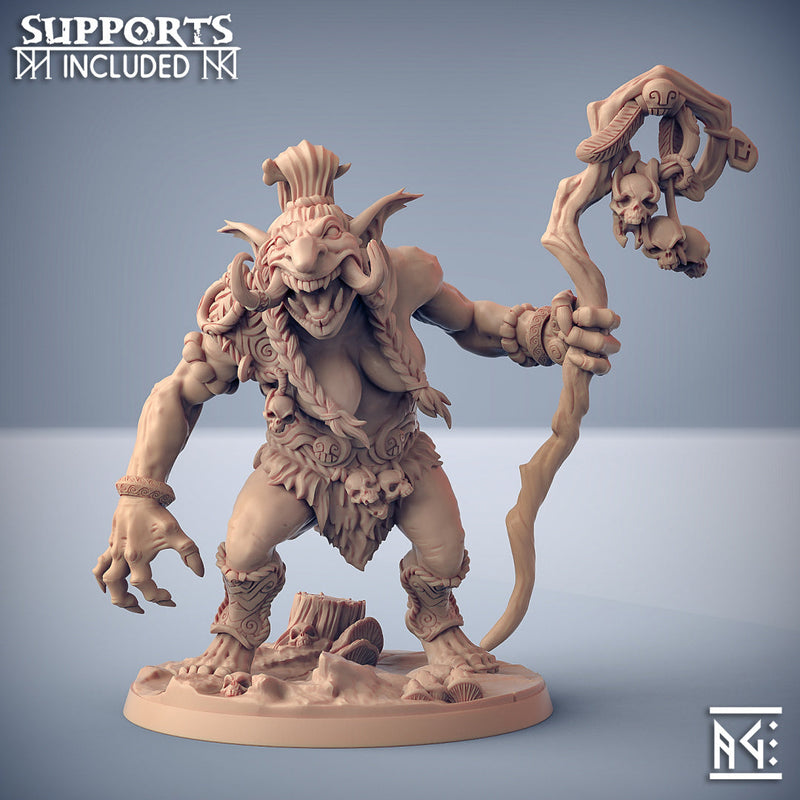 Svartwood Troll Hag C | Svartwood Trolls | Fantasy D&D Miniature | Artisan Guild TabletopXtra