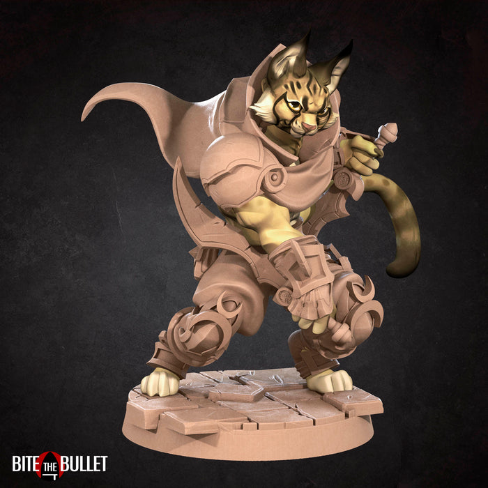 Tabaxi (Full Set) | Fantasy Miniature | Bite the Bullet TabletopXtra