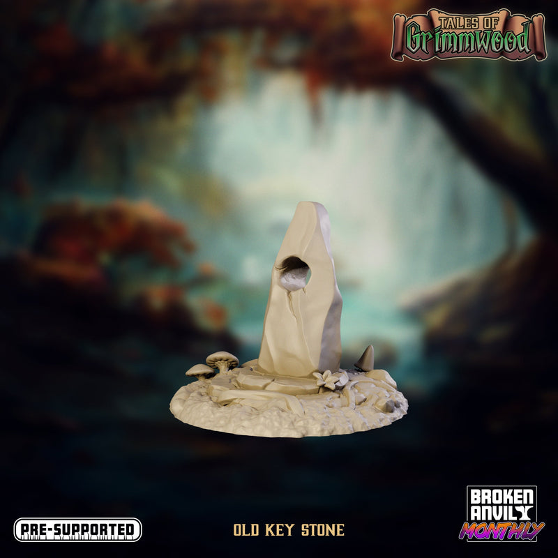 Tales of Grimmwood Miniatures (Full Set) | Tabletop RPG Miniature TabletopXtra