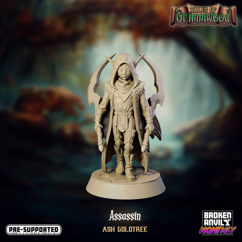 Tales of Grimmwood Miniatures (Full Set) | Tabletop RPG Miniature TabletopXtra