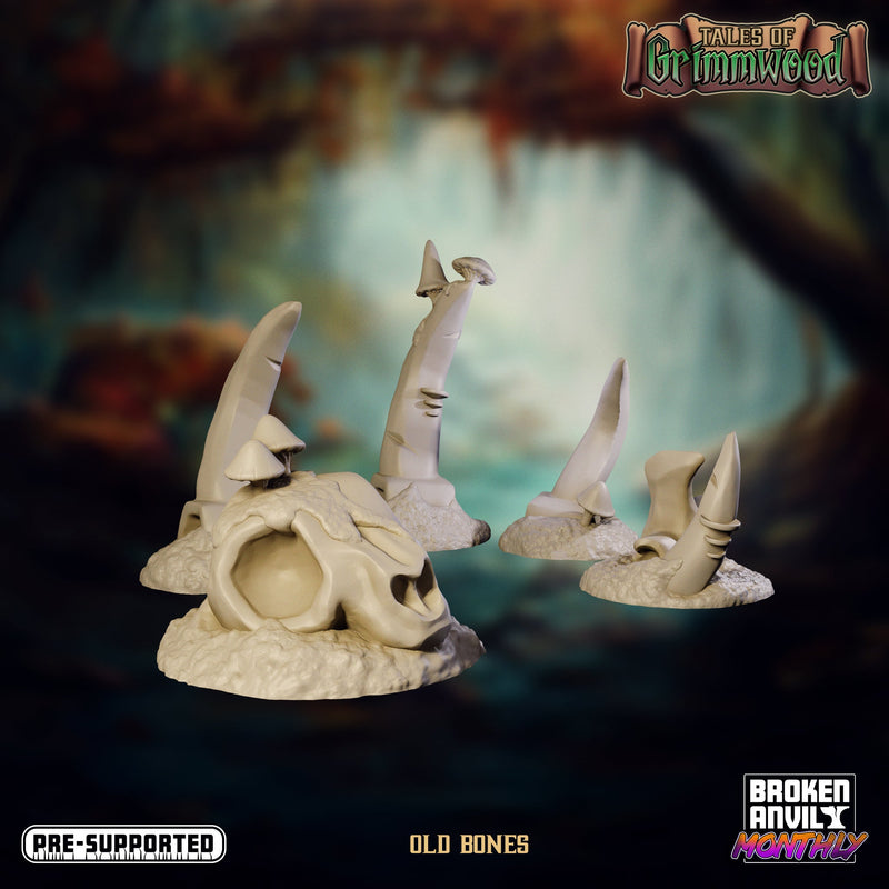Tales of Grimmwood Miniatures (Full Set) | Tabletop RPG Miniature TabletopXtra
