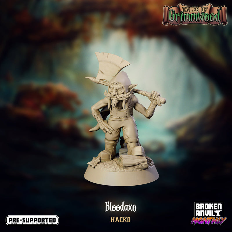 Tales of Grimmwood Miniatures (Full Set) | Tabletop RPG Miniature TabletopXtra