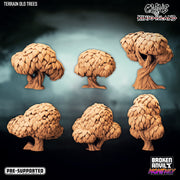 Terrain Miniatures | Clans of Kinjo Island | Tabletop RPG Miniature TabletopXtra