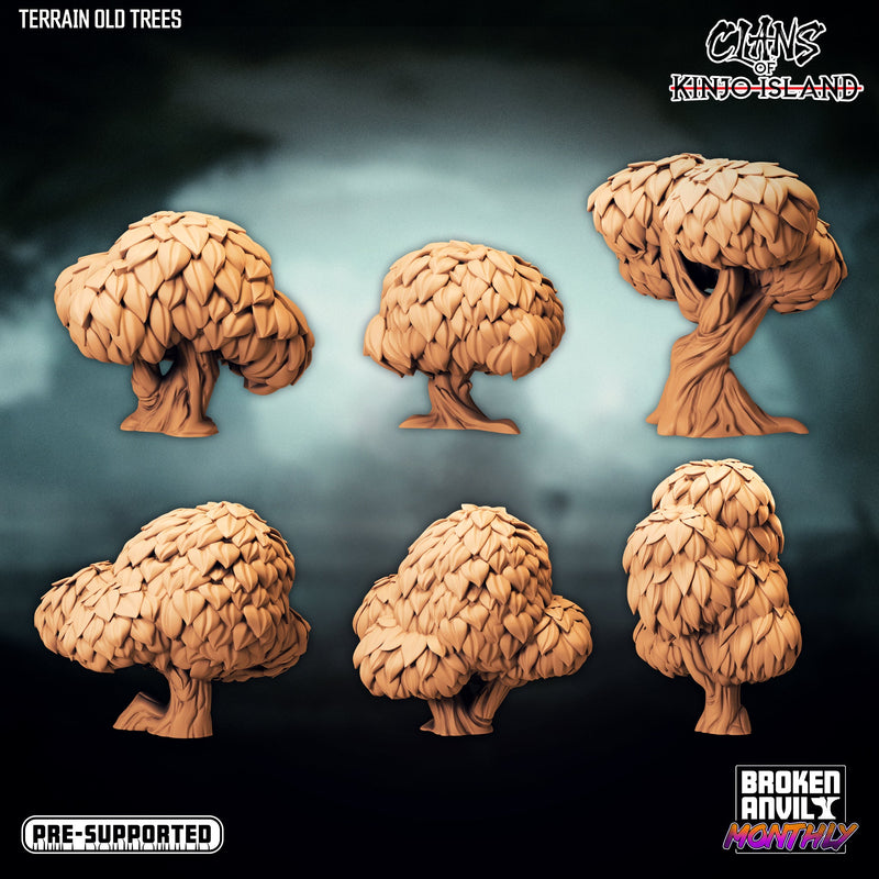 Terrain Miniatures | Clans of Kinjo Island | Tabletop RPG Miniature TabletopXtra