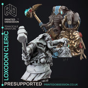 The Lady of Pox Miniatures (Full Set) | Fantasy Miniature | Printed Obsession TabletopXtra