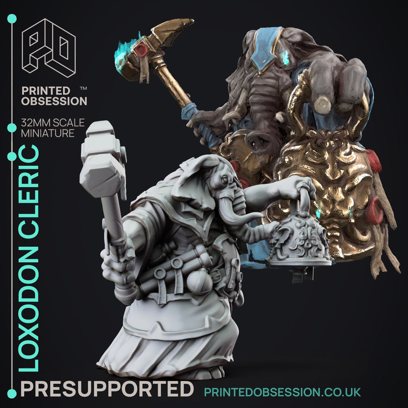 The Lady of Pox Miniatures (Full Set) | Fantasy Miniature | Printed Obsession TabletopXtra