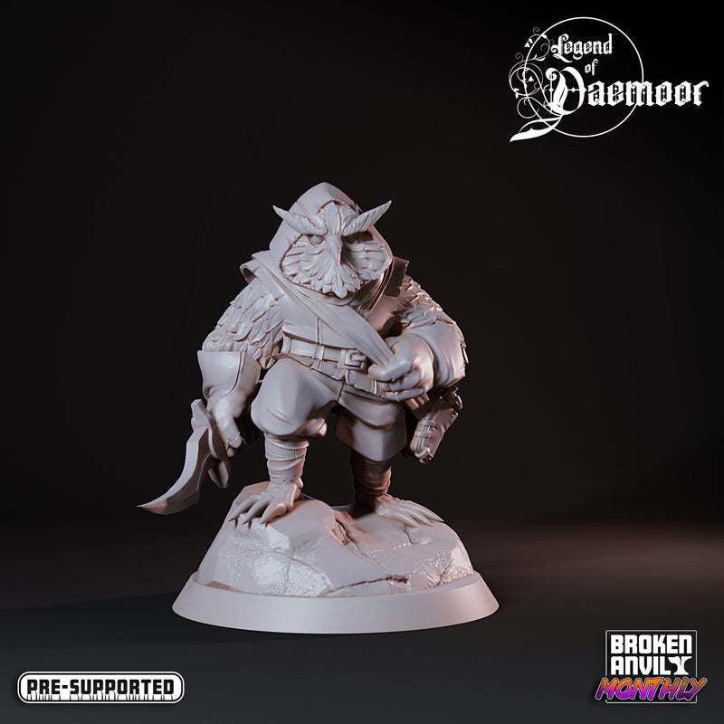 The Legend of Daemoor Miniatures (Full Set) | Tabletop RPG Miniature TabletopXtra