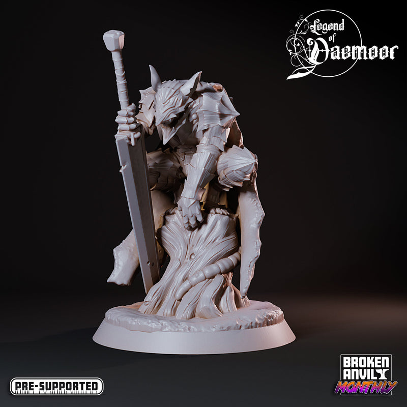 The Legend of Daemoor Miniatures (Full Set) | Tabletop RPG Miniature TabletopXtra