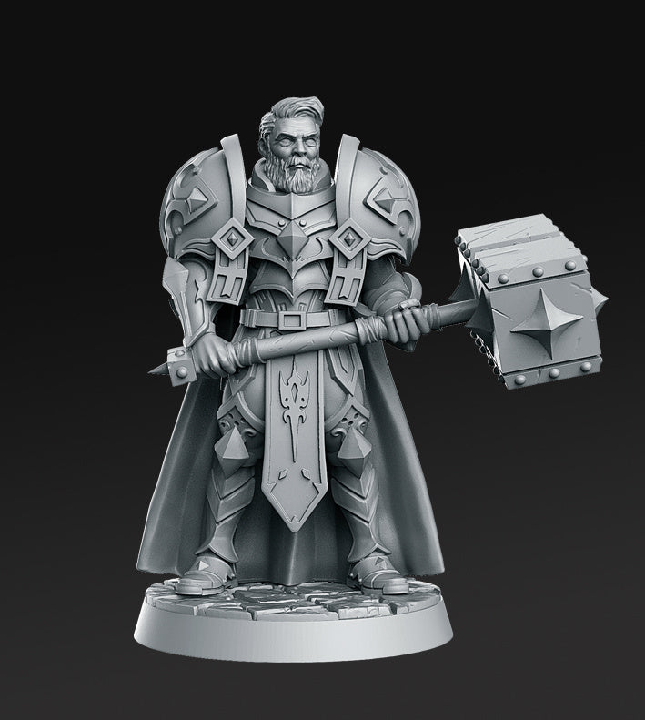 The Royal Guard Miniatures (Full Set) | Fantasy Miniature | RN Estudio TabletopXtra