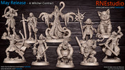 The Witcher Contract Miniatures (Full Set) | Fantasy Miniature | RN Estudio TabletopXtra