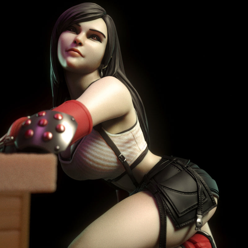 Tifa | Pin-Up Statue Fan Art Miniature Unpainted | Torrida Minis