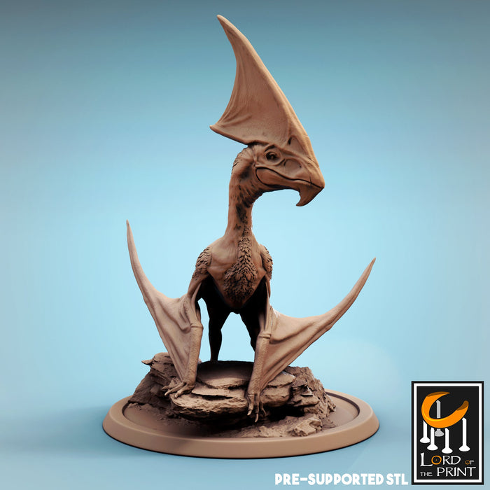 Tupandactylus D | Dinotopia Part 2 | Fantasy Miniature | Rescale Miniatures TabletopXtra