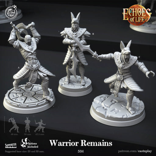 Warrior Remains A | Echoes of Life | Fantasy Miniature | Cast n Play TabletopXtra
