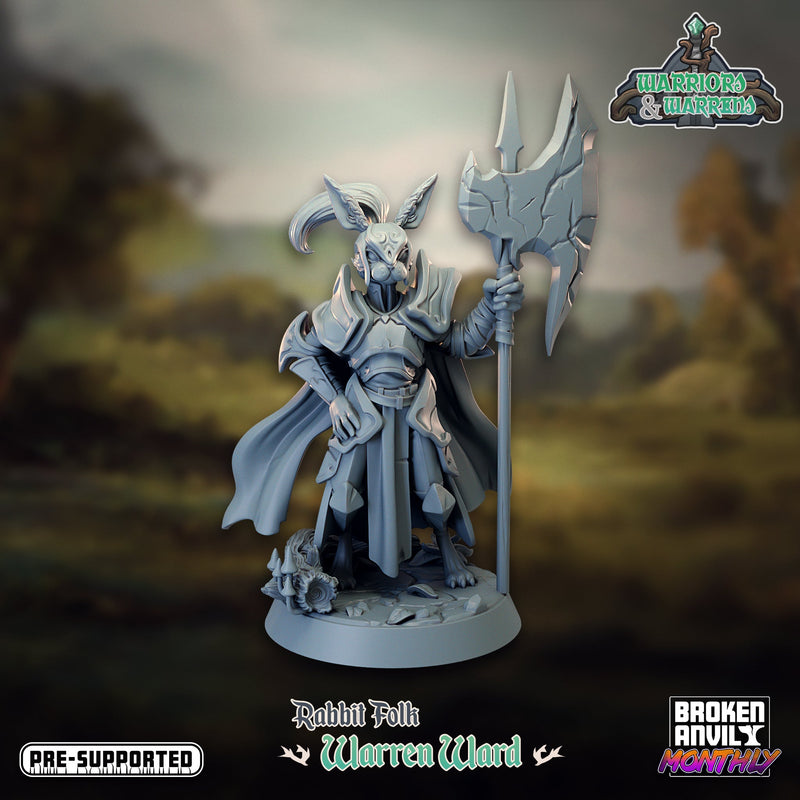 Warriors and Warrens Miniatures (Full Set) | Tabletop RPG Miniature TabletopXtra