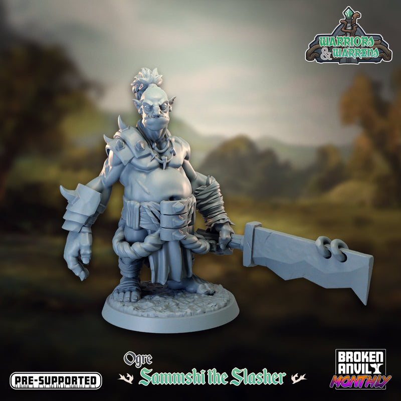 Warriors and Warrens Miniatures (Full Set) | Tabletop RPG Miniature TabletopXtra