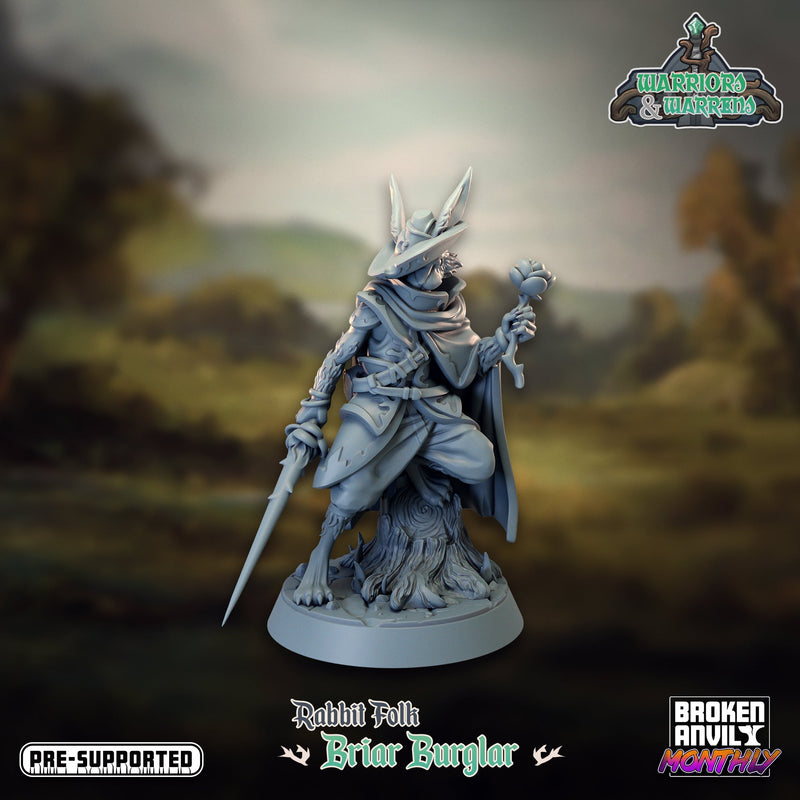 Warriors and Warrens Miniatures (Full Set) | Tabletop RPG Miniature TabletopXtra