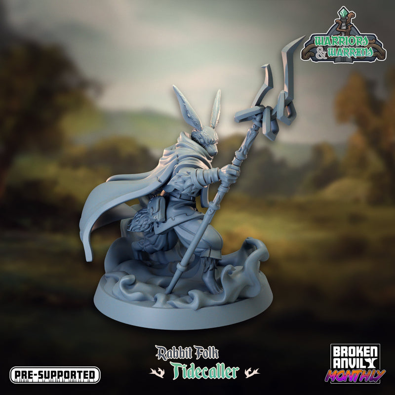 Warriors and Warrens Miniatures (Full Set) | Tabletop RPG Miniature TabletopXtra