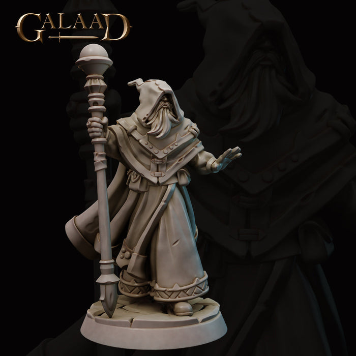 Wizard | Escort the Queen | Fantasy Miniature | Galaad Miniatures TabletopXtra