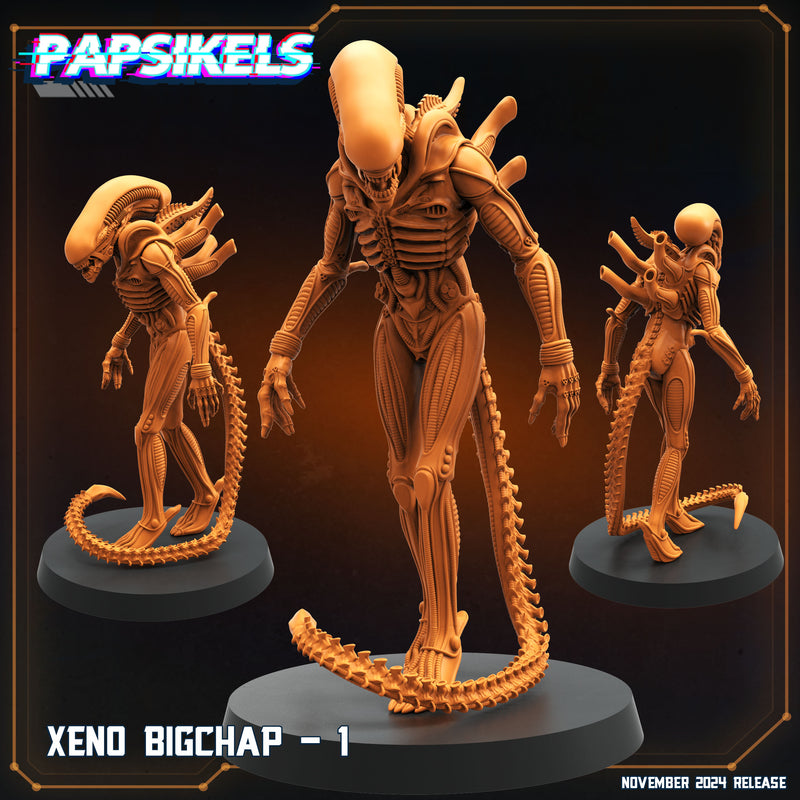 Big Xeno Miniatures | Aliens Vs Humans XI Execration | Papsikels