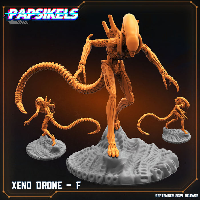 Xeno Drone F | Aliens Vs Humans IX Remus | Papsikels