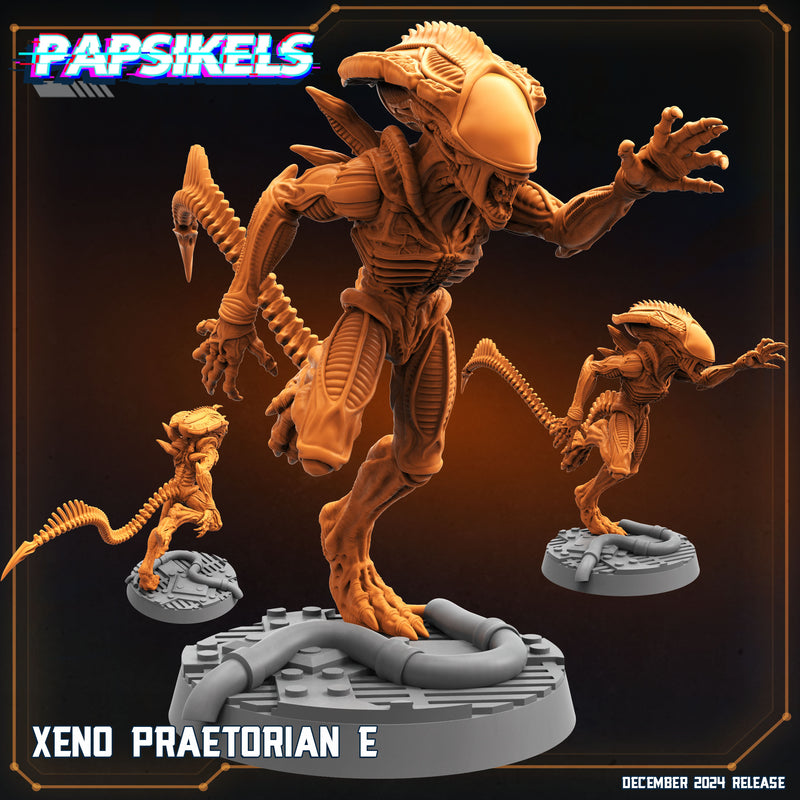 Xeno Praetorian Miniatures | Aliens Vs Humans XII Space Dead | Papsikels