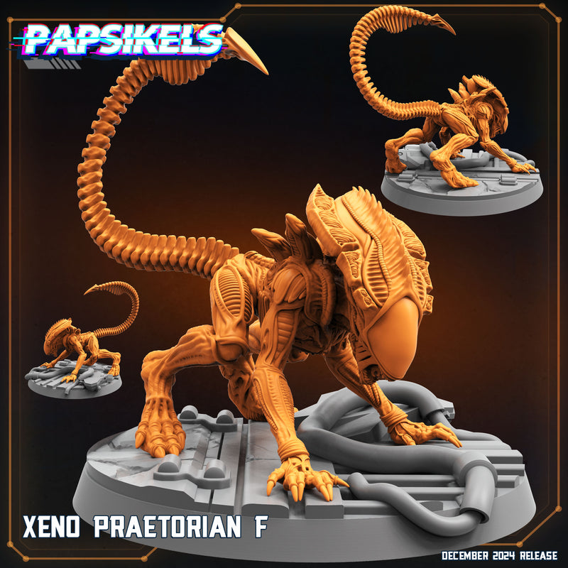 Xeno Praetorian Miniatures | Aliens Vs Humans XII Space Dead | Papsikels
