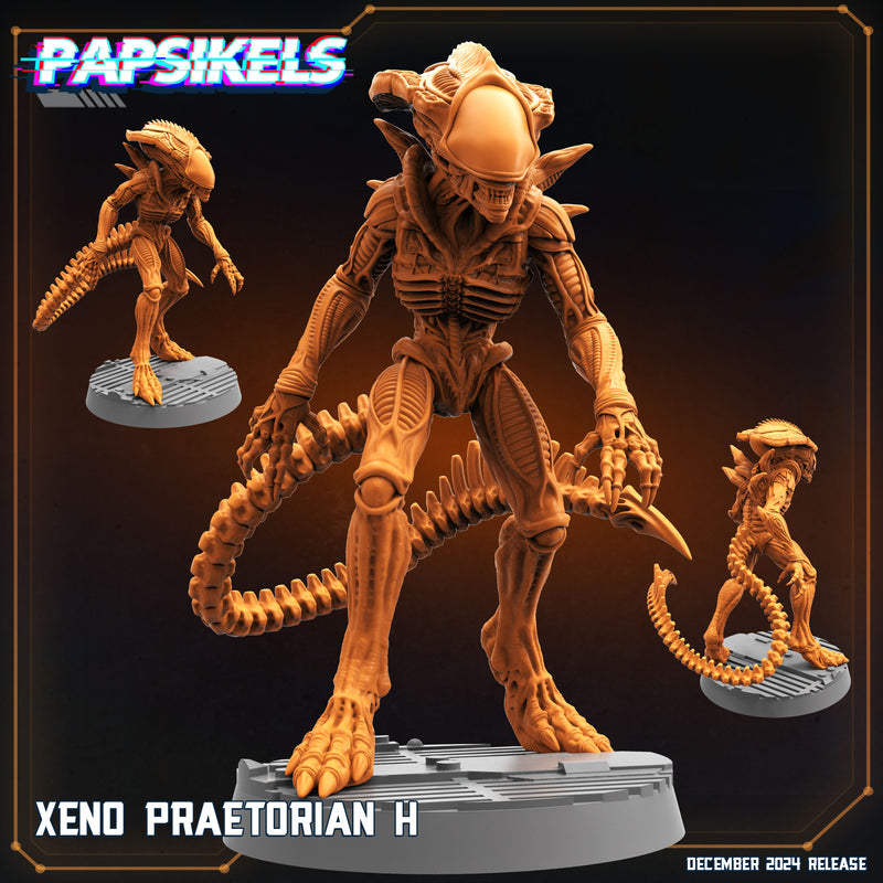 Xeno Praetorian Miniatures | Aliens Vs Humans XII Space Dead | Papsikels
