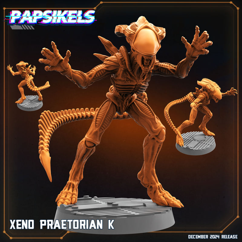 Xeno Praetorian Miniatures | Aliens Vs Humans XII Space Dead | Papsikels