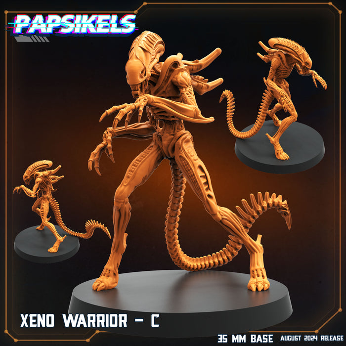 Xeno Warrior Miniatures | Aliens Vs Humans VIII No Remorse | Sci-Fi Miniature | Papsikels