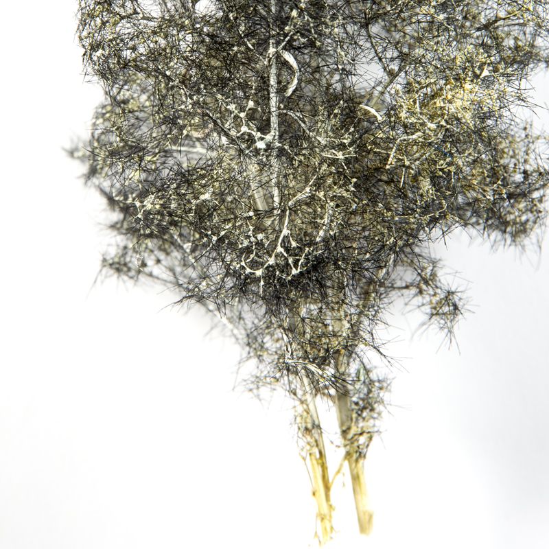 AK Interactive Black-White Fantasy Bushes 1/35 (AK8265)