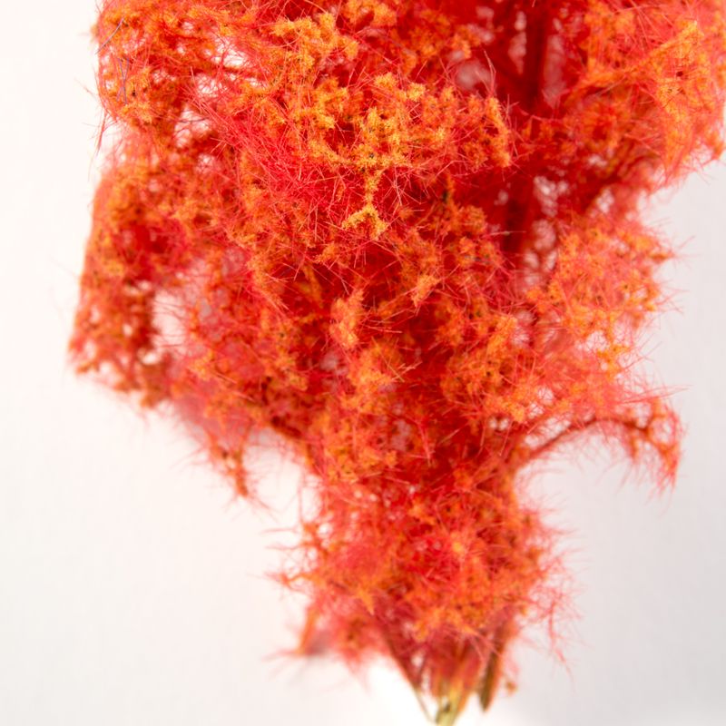AK Interactive Red-Orange Fantasy Bushes 1/35 (AK8266)