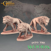 Wolves (3) | Forest Monster Miniatures | Into the Woods | Fantasy Miniature | Galaad Miniatures TabletopXtra