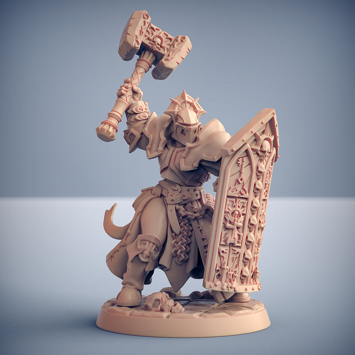 Knight Templar F w/Helmet | Requiem Brotherhood | Fantasy D&D Miniature | Artisan Guild