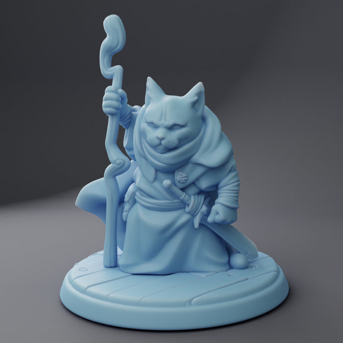 Cat Hermit Wizard | Friday Night Tavern | Fantasy Miniature | Twin Goddess Miniatures