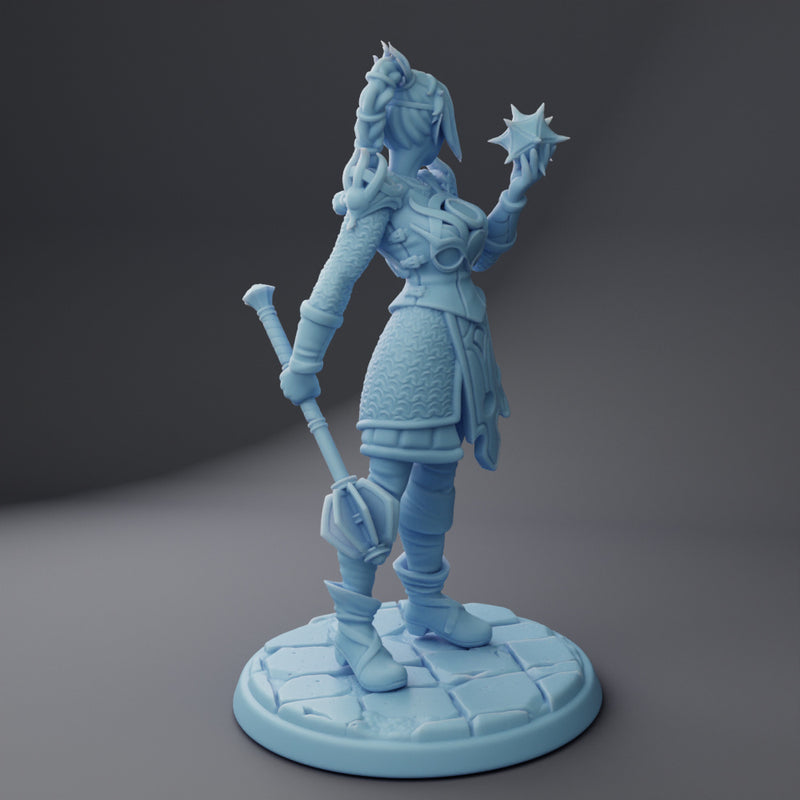 Ebonheart the Shadowed Cleric | Fantasy Miniature | Twin Goddess Miniatures