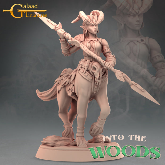 Centaur B | Into the Woods | Fantasy Miniature | Galaad Miniatures