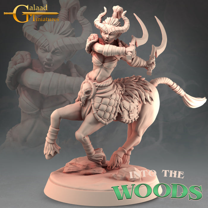Centaur E | Into the Woods | Fantasy Miniature | Galaad Miniatures