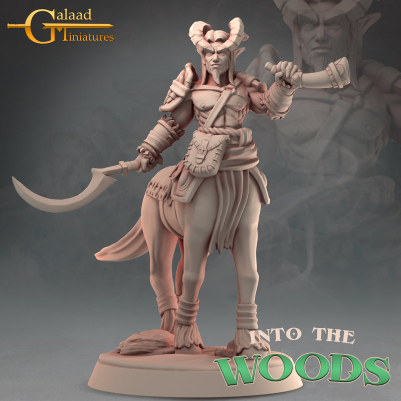Centaur Miniatures | Into the Woods | Fantasy Miniature | Galaad Miniatures
